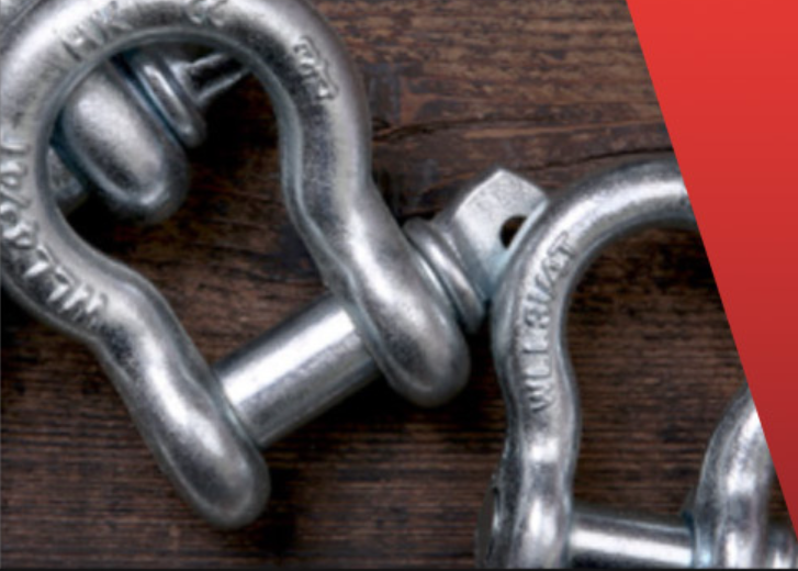 Bow D-shaped buckle (11)